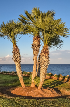 自動(dòng)修復(fù)